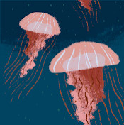 Амелия Кудинова