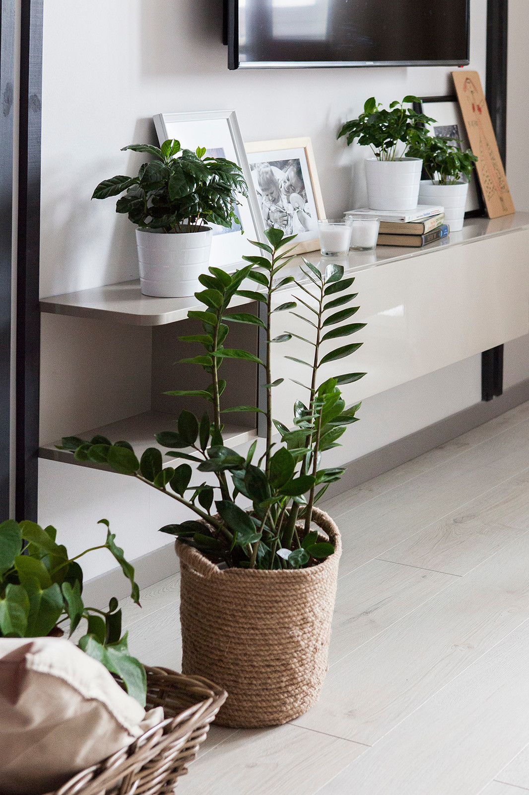 35: кухня в коридоре и спальня в нише