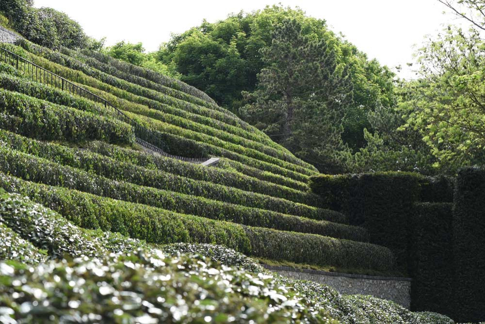 Сады Этрета