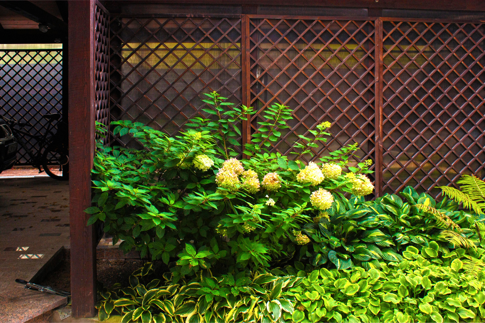 Ландшафтный проект участка в Дмитровском районе.