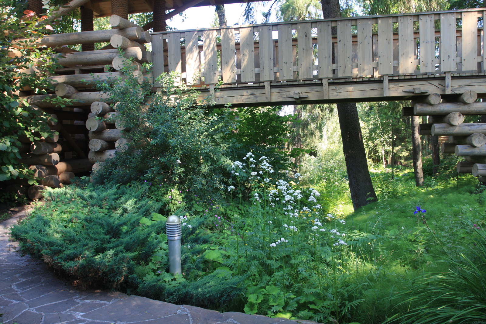 Лесная жизнь