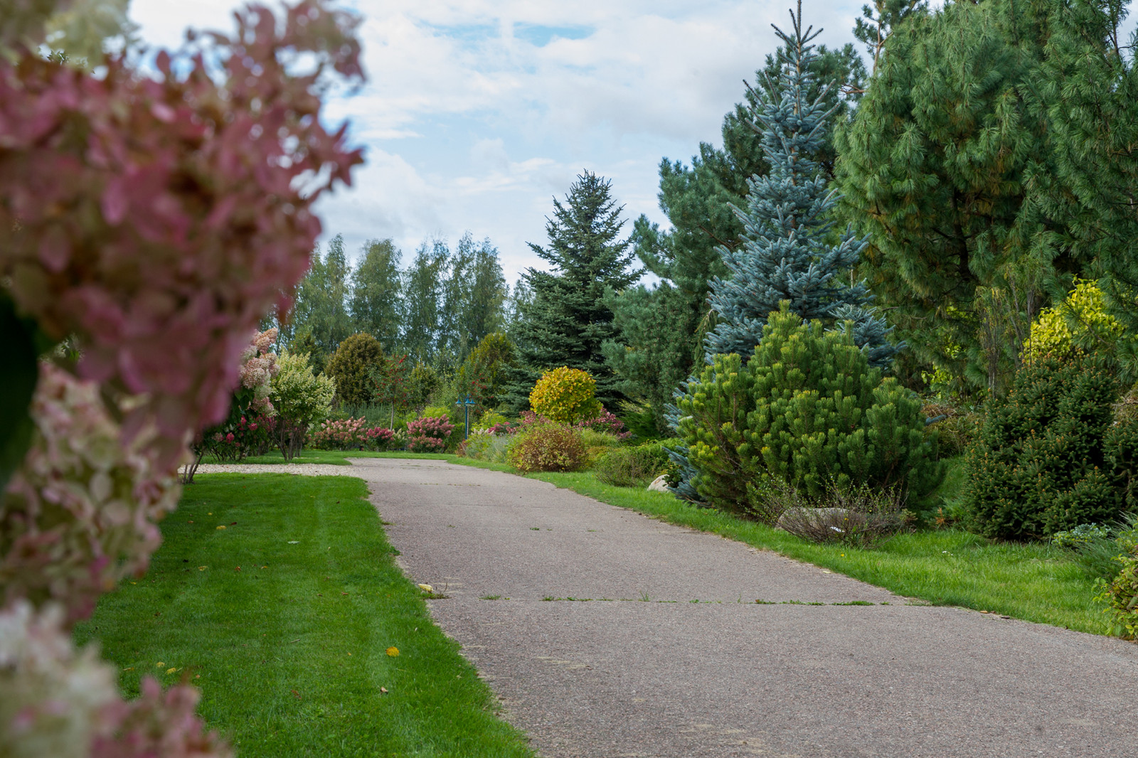 Парк в  Шаховском районе