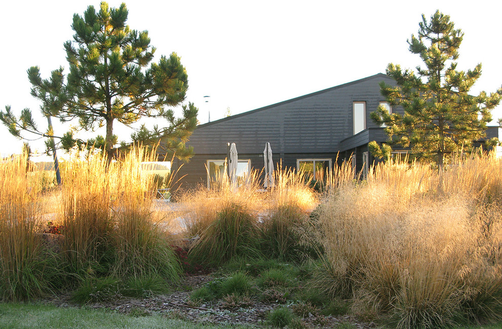 Houzz Белоруссия: Сад в тумане