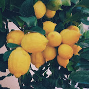 Арина Козловская