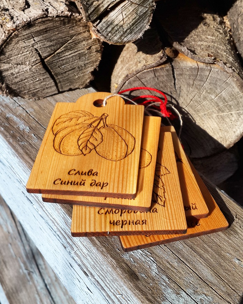 Идеи modnyegriadki