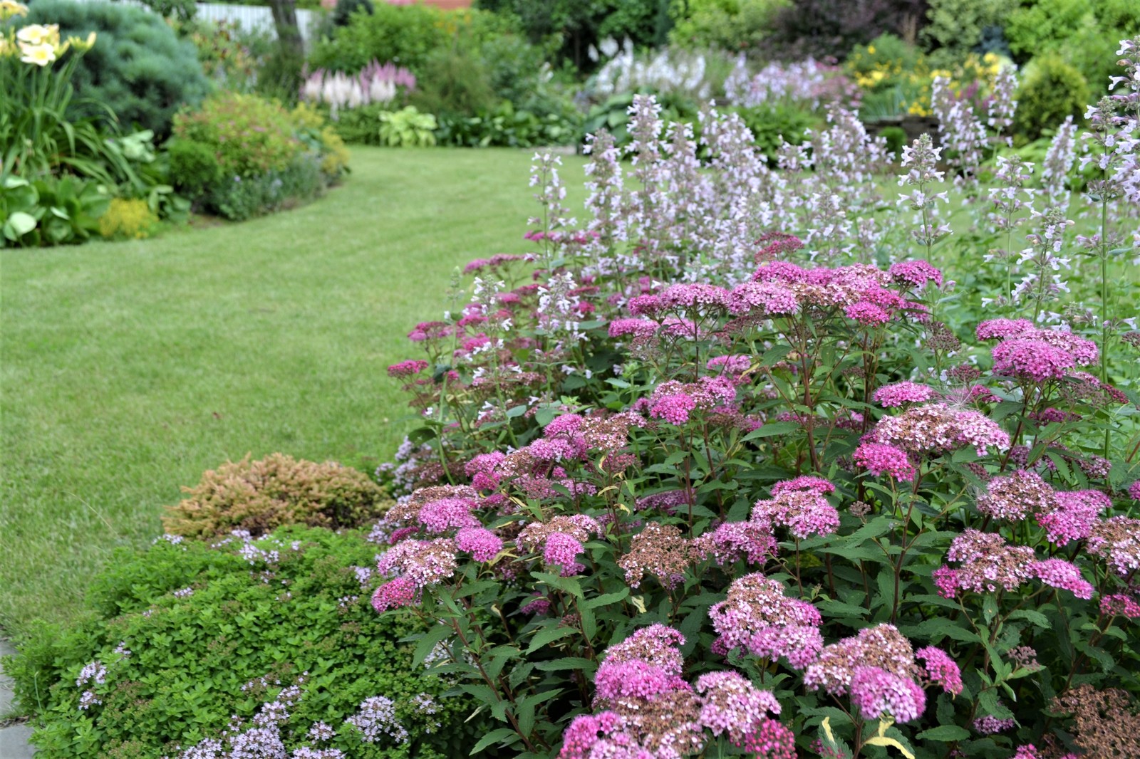 Сад "ВОЛНЫ и КРУГИ"