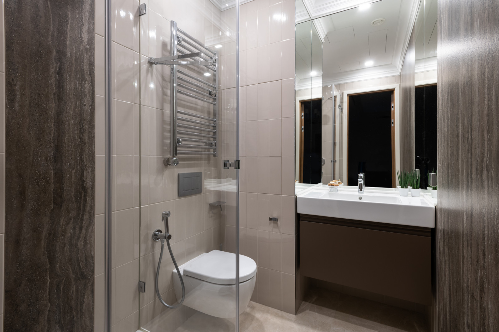 Обложка проекта: Древо жизни/ Tree of life