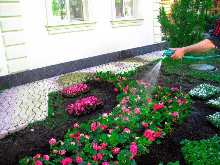 Создание клумб и цветников