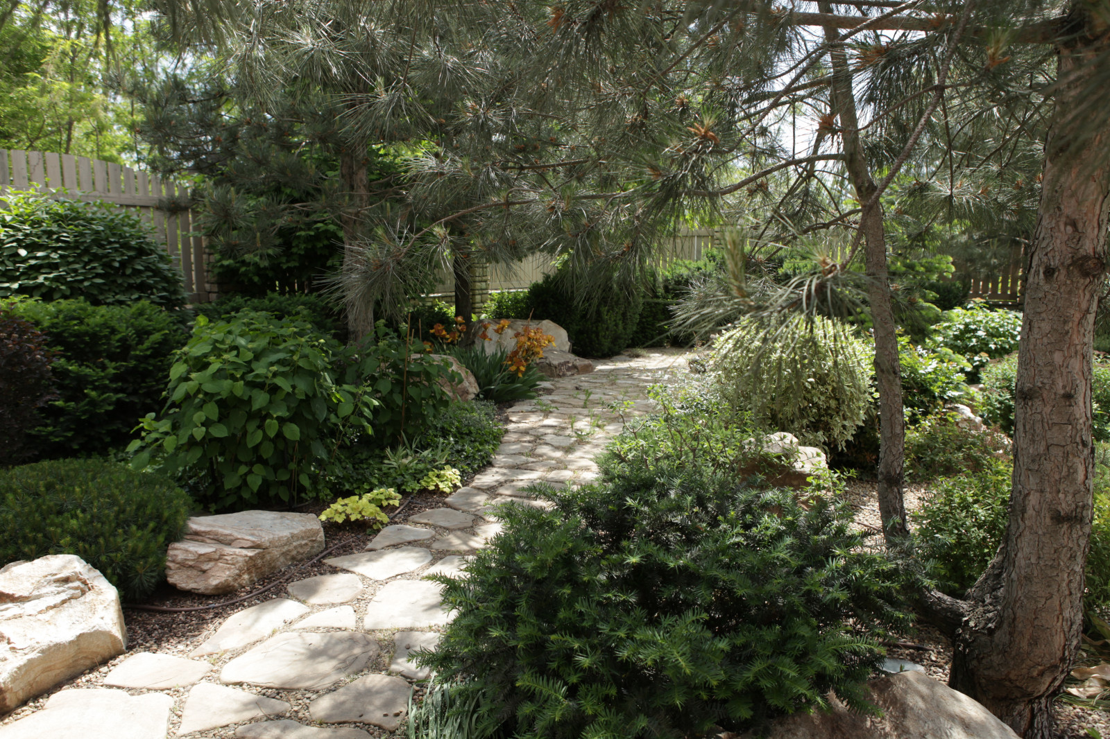 Лесная опушка