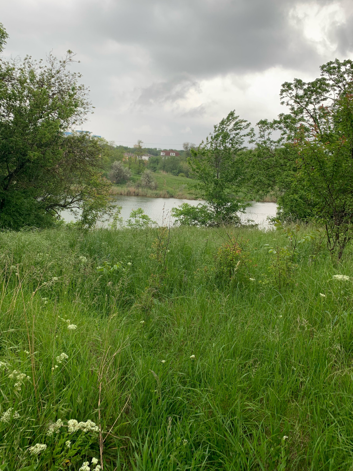 Баса отдыха. Кумжинской роща, берег Дона