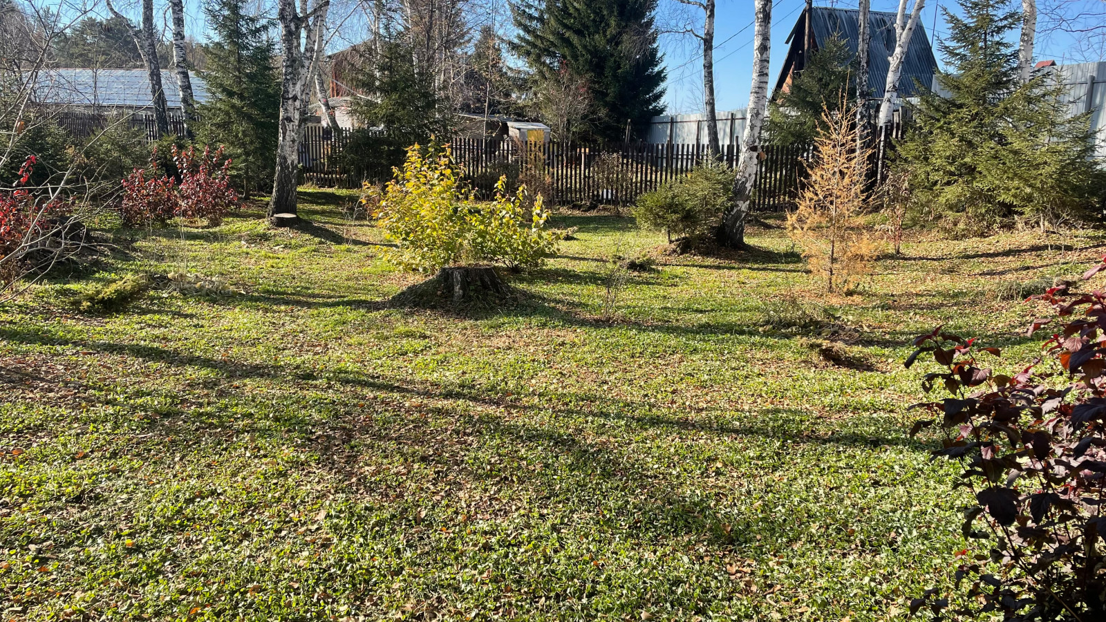 Реализация проекта 2021 г.