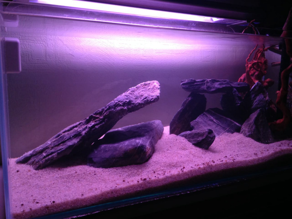 Флорариумы