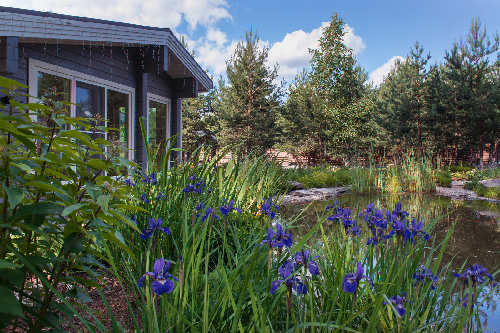 Озеро в лесу. Посёлок Приволье.