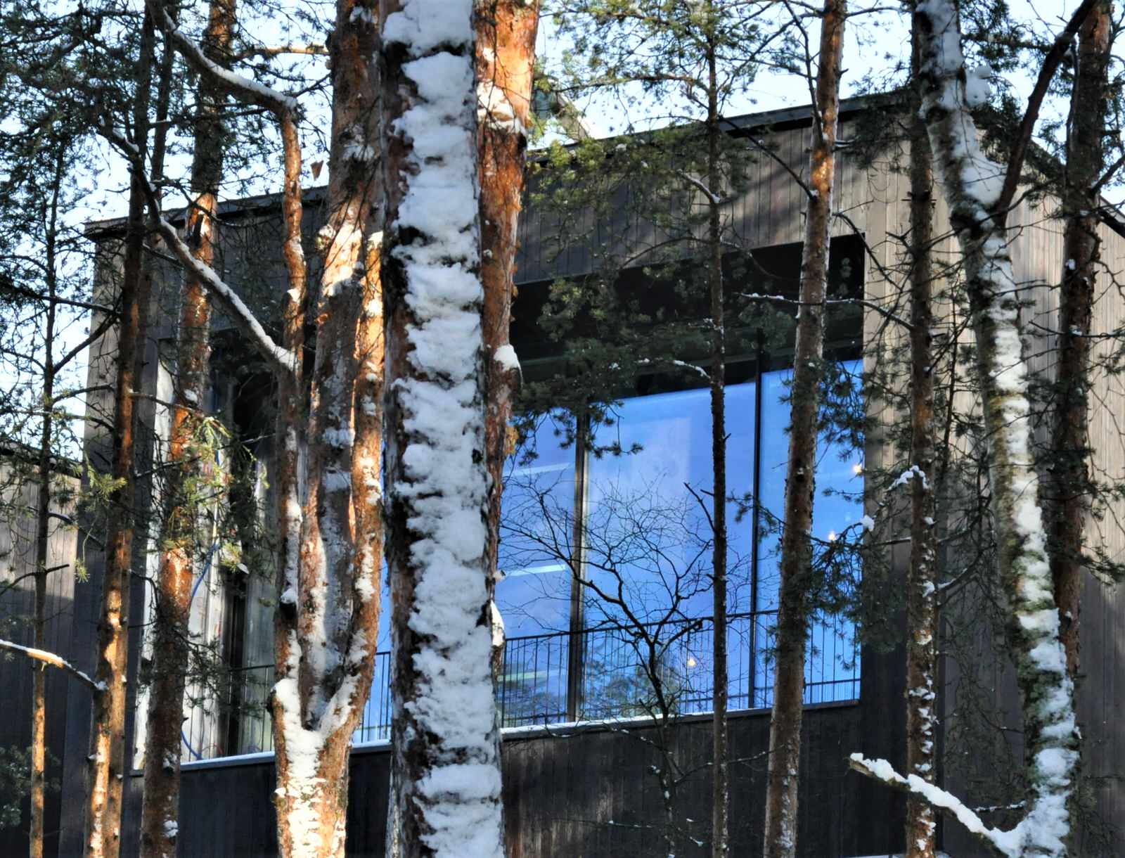 Shou Sugi Ban. Фасадная обожженная доска от Suntan WOOD.