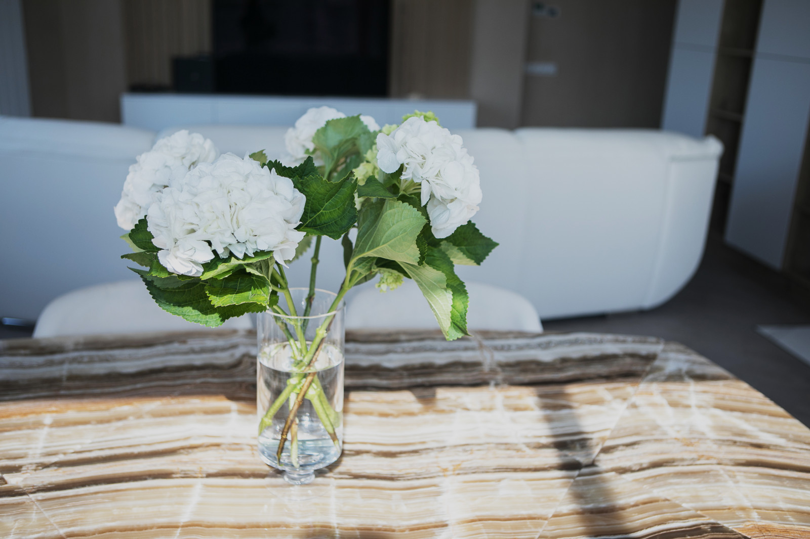 Aerobus /Квартира в ЖК АЭРОБУС