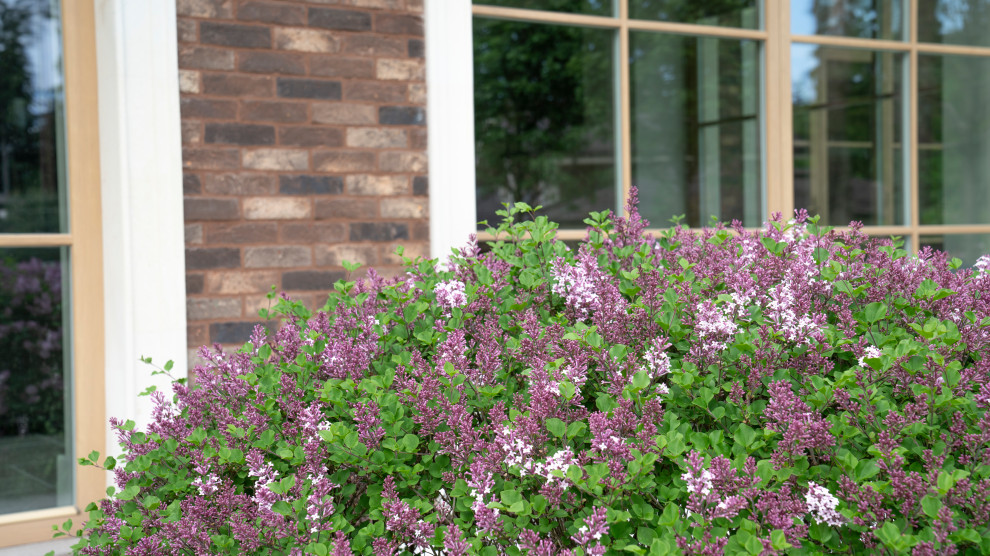 Вилла в стиле Райта. КП "Грибово" 2018 г.