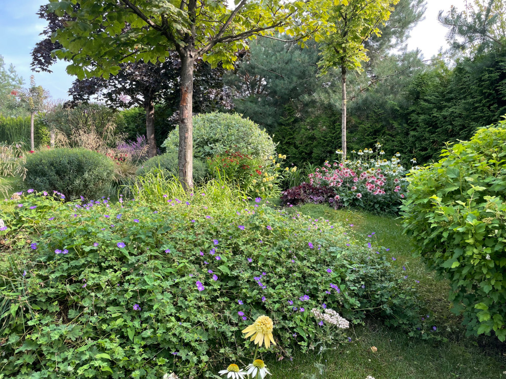 КП Пестово "Evergreen'