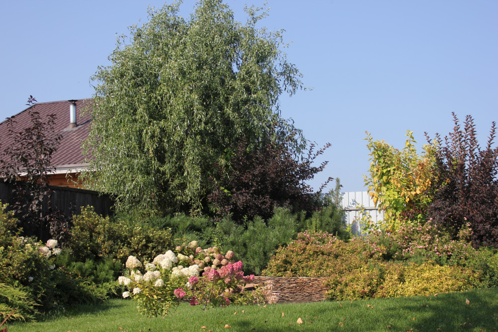 В гостях у Сказки