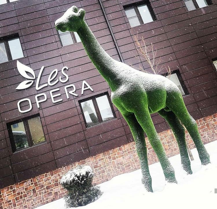 Обложка проекта: Топиари в пространстве