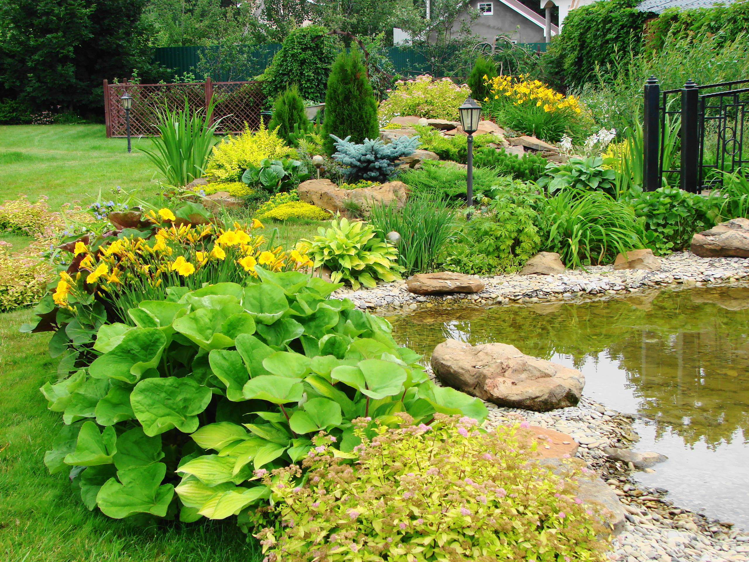 Растения: Выбираем декоративнолистные для сада