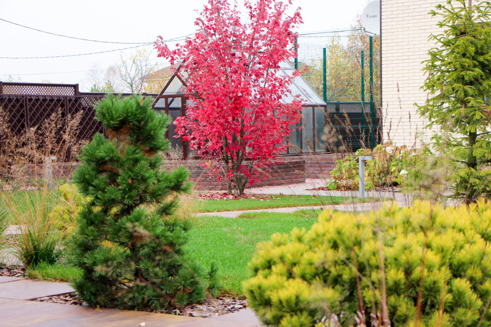 Петровское, 2018-2020 гг.