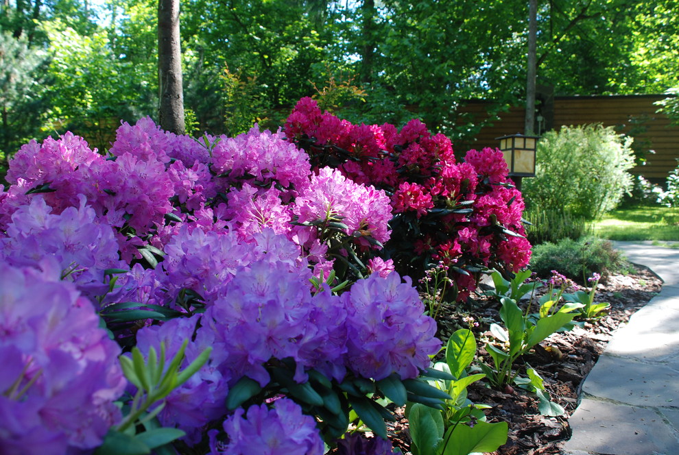 Успенское шоссе РИИТА