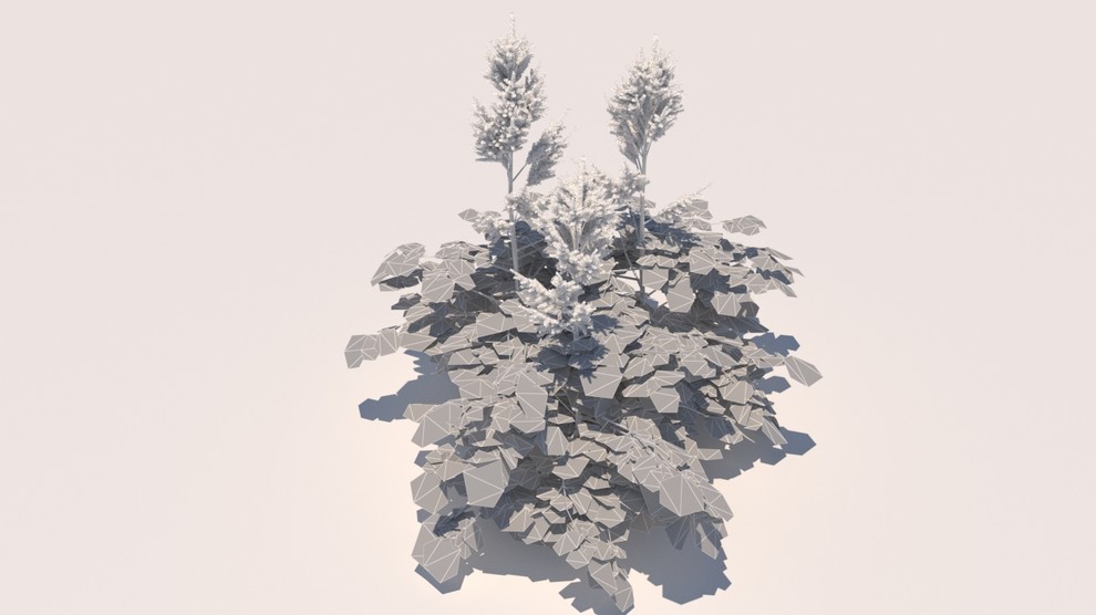 Обложка проекта: 3d models of plants