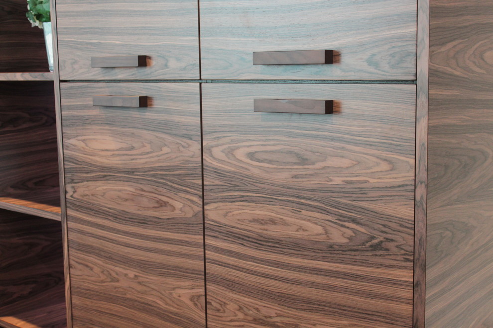 Шпон Палисандр Индийский + фасады со стеклом Серебро