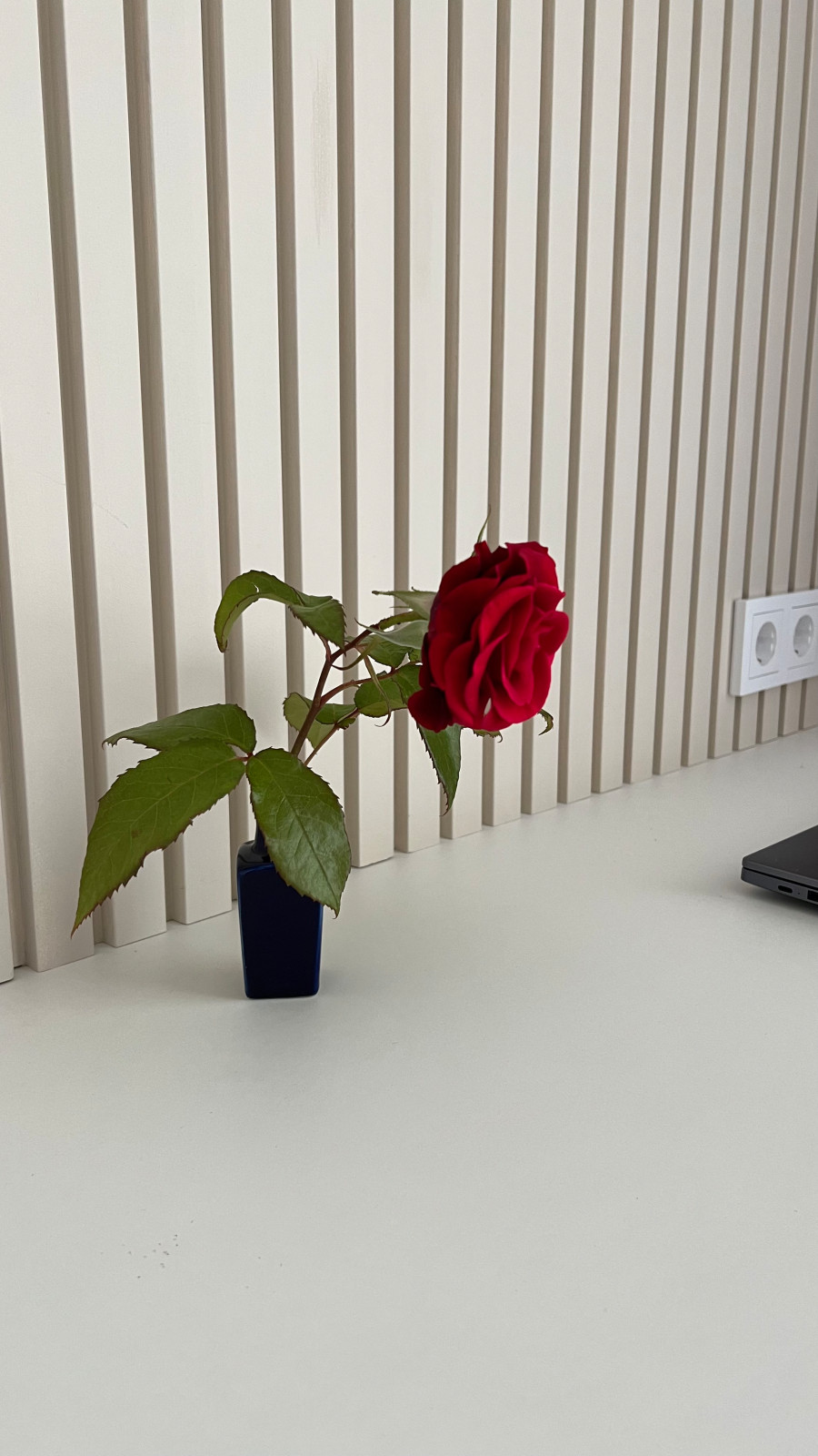 Реализованный дизайн-проект в Янтарном