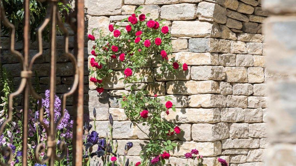 Уроки Chelsea Flower Show: Сад хорошего самочувствия