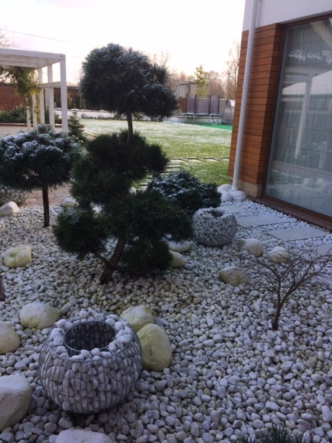 Обложка проекта: Современный сад для семьи