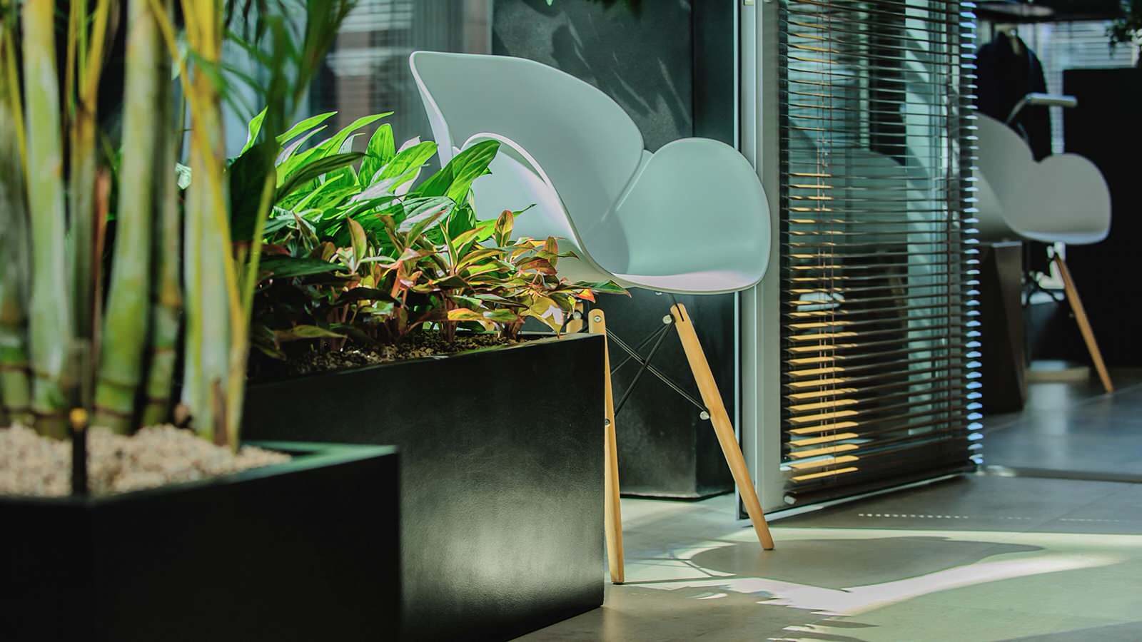 Обложка проекта: Озеленение клиники Топ Физио в Москве