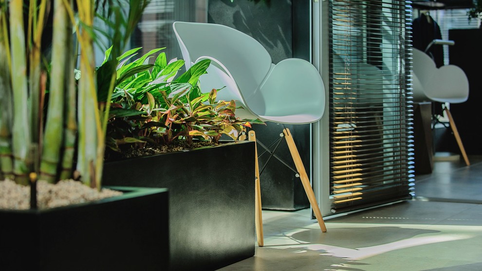 Обложка проекта: Озеленение клиники Топ Физио в Москве