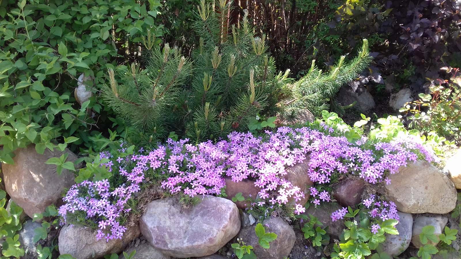 Дизайн  участка "Добрая сказка" в пейзажном стиле.
