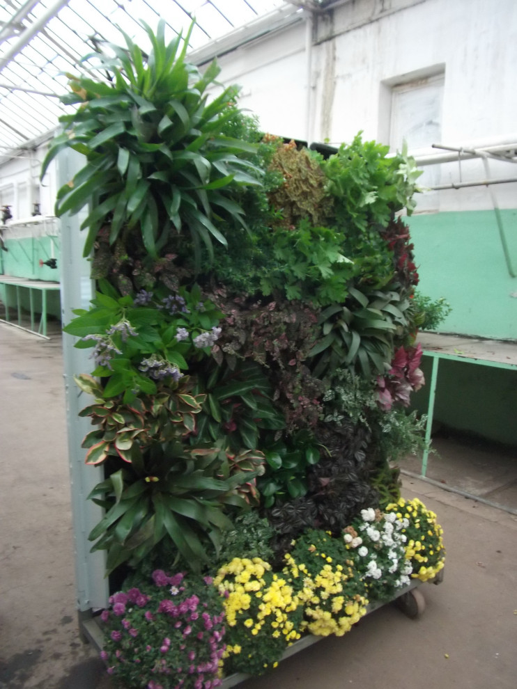 Зеленая стена