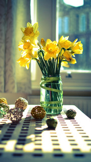 Дарья Минеева