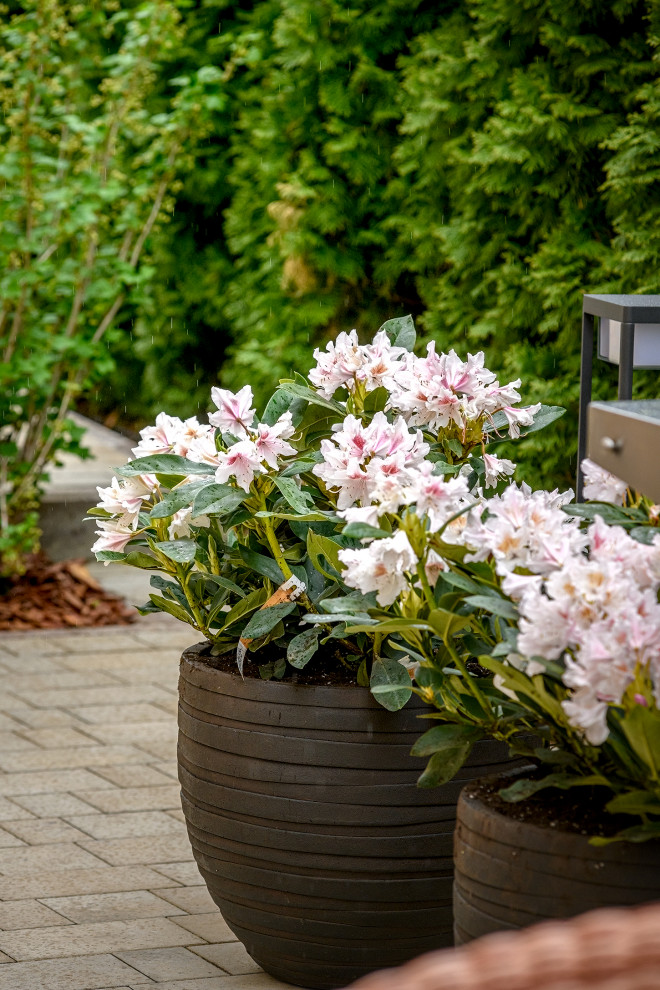 "На Дачу" к Татьяне Веденеевой