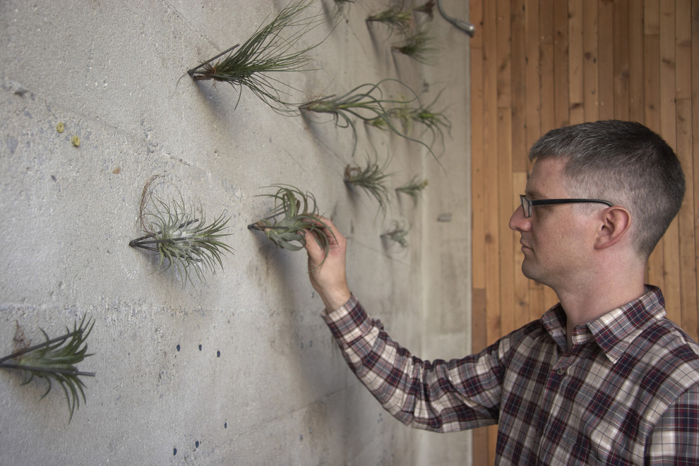 Азбука цветовода: Выбираем растения для вертикального сада