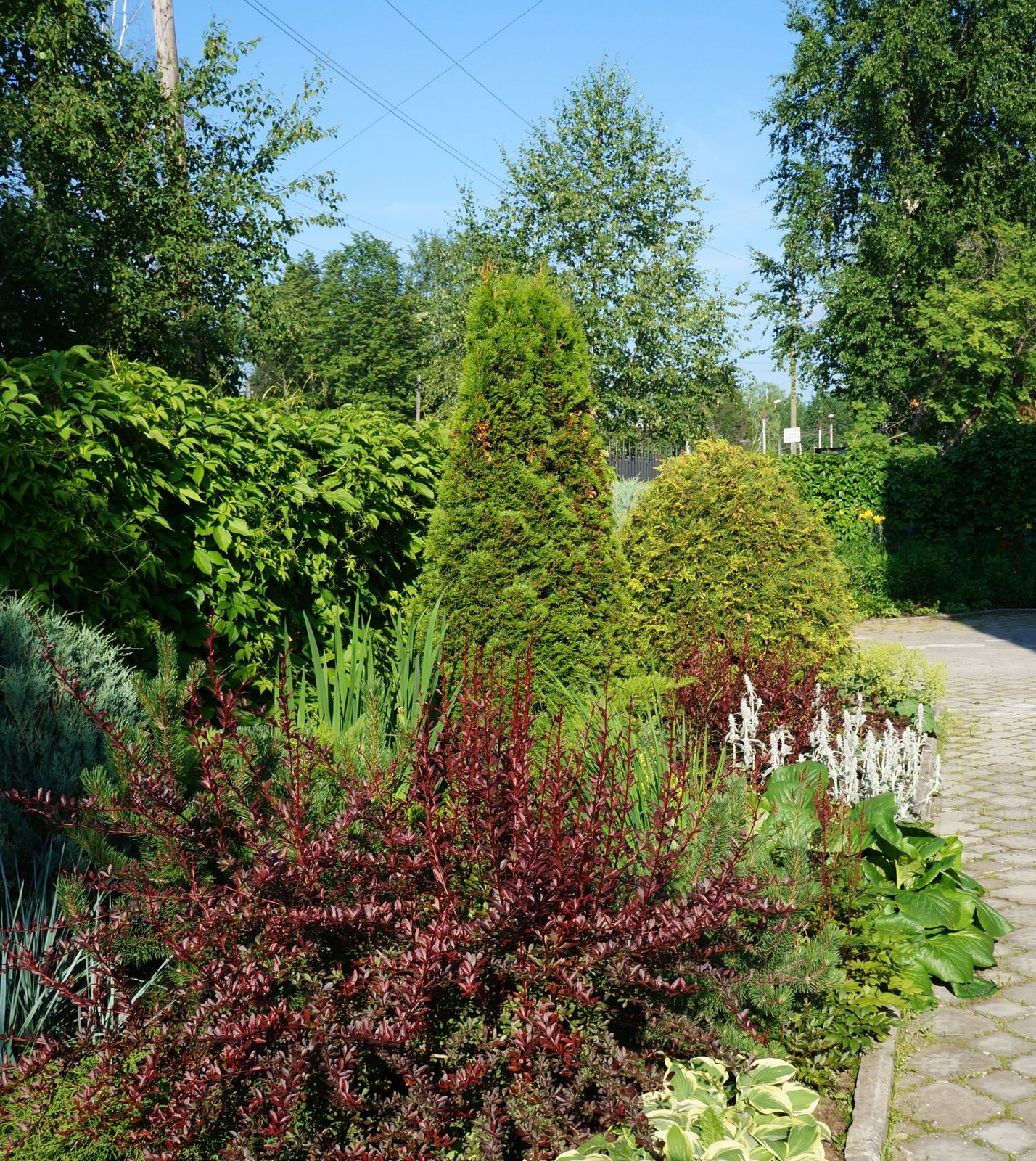 Обложка проекта: Январский