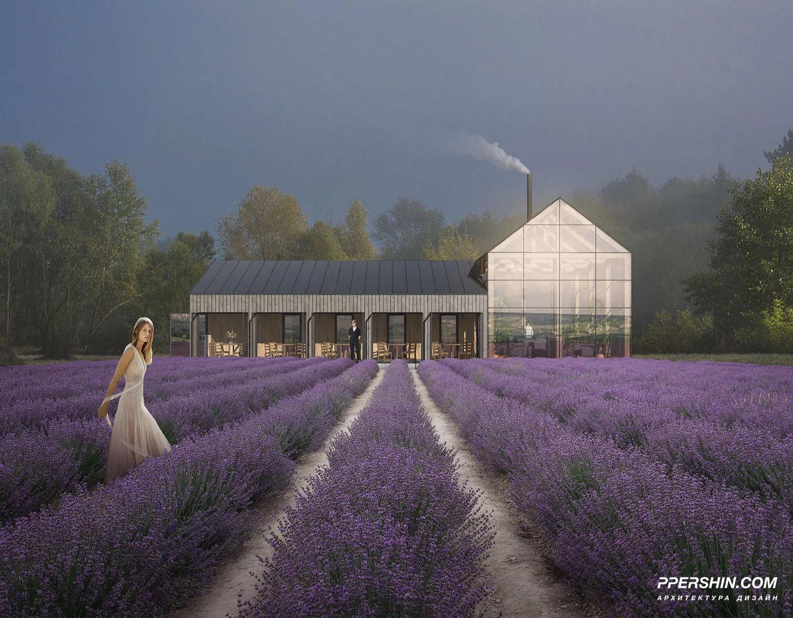 Обложка проекта: Общественный центр поселка Брусника Барн