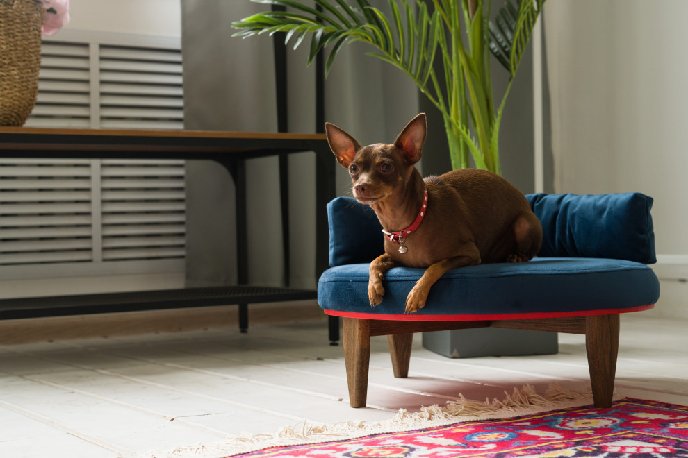 Диван BRIE для собак и кошек