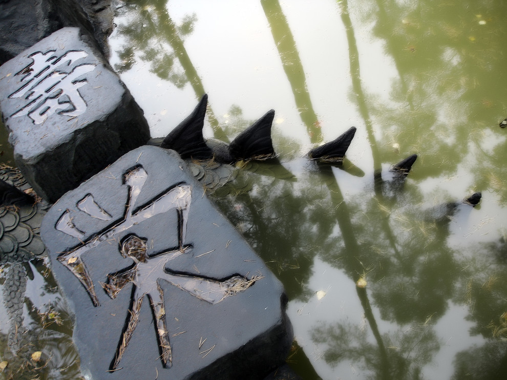 Дракон, частная территория