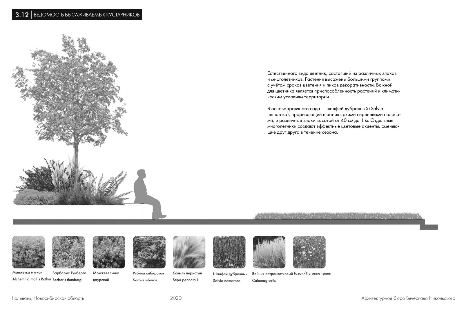 Благоустройство аллеи в историческом поселении Колывань