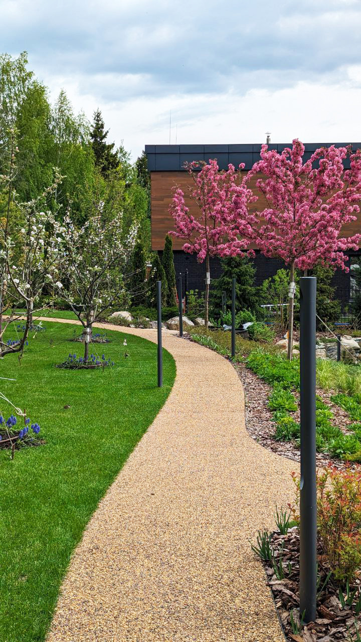 Миллениум парк 2024