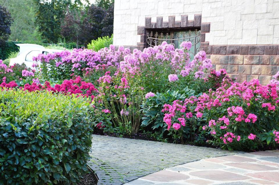 Сенькино московская обл