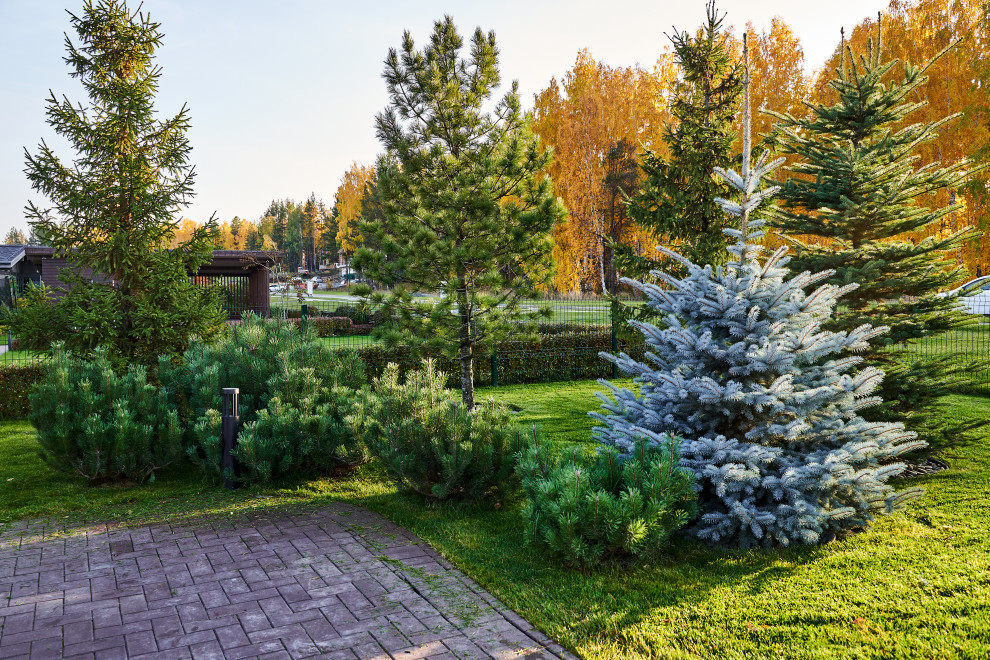 Участок с мужским характером