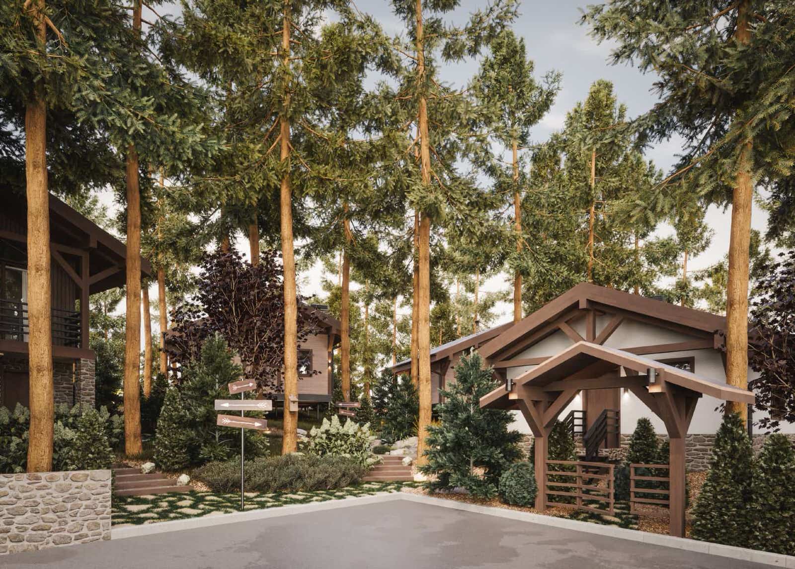 Лесные просторы