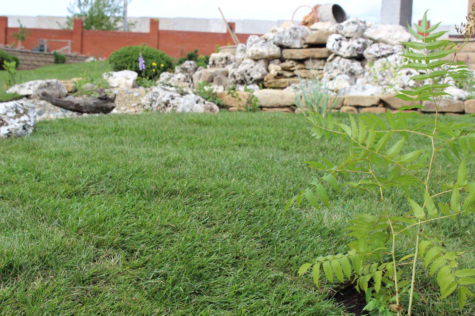 Ландшафтный дизайн участка в д. Зеленый камень (Ижевск)