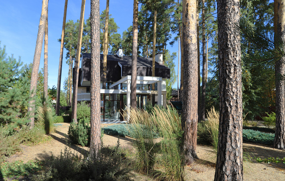 Маленький сад между большими соснами.