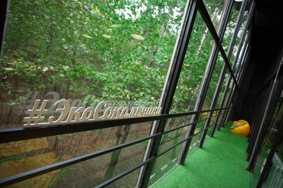 ЭКОСОКОЛЬНИКИ Коворкинг в лесу